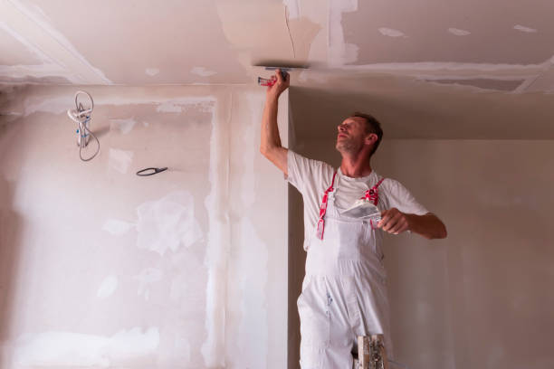 Professional Drywall and Painting Service in St Louis, MO